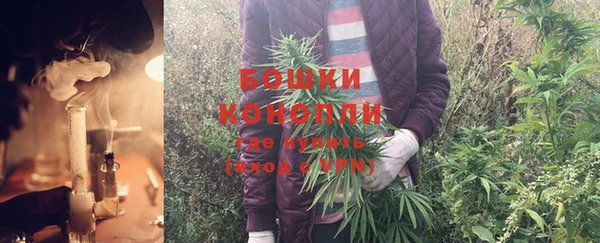 apvp Надым