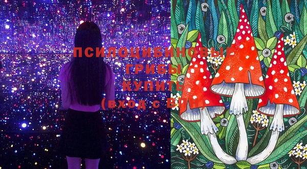 меф Горняк