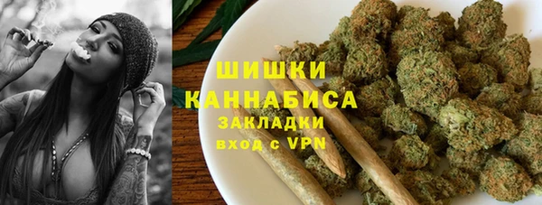 молекула духа Горнозаводск