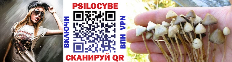 Псилоцибиновые грибы Psilocybine cubensis Новосокольники